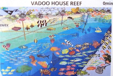 Vaadhoo Housereef